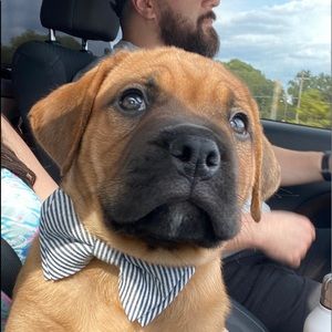 Meet your Posher, Giancarlo